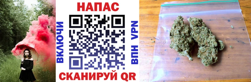 Марихуана SATIVA & INDICA  где купить наркоту  Пойковский 